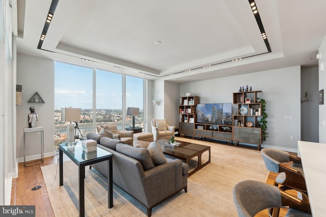 living room with expansive windows, light hardwood / wood-style flooring, and a tray ceiling