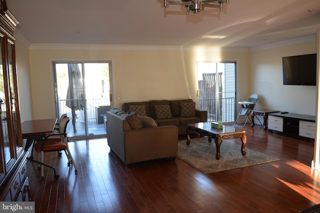 living room with ornamental molding and dark wood-type flooring