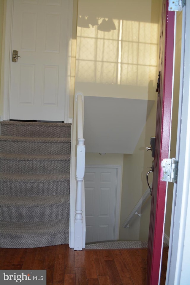 stairway with hardwood / wood-style flooring