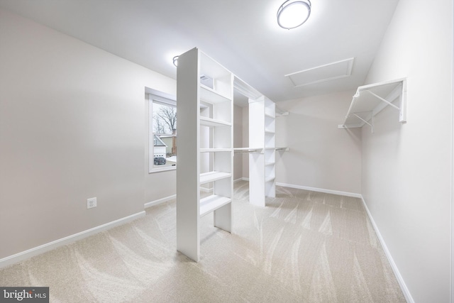 spacious closet featuring light colored carpet