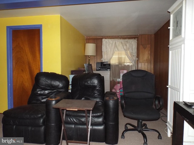 cinema room featuring carpet floors