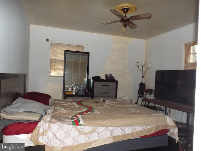 bedroom featuring multiple windows