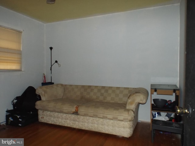 living room with dark hardwood / wood-style floors