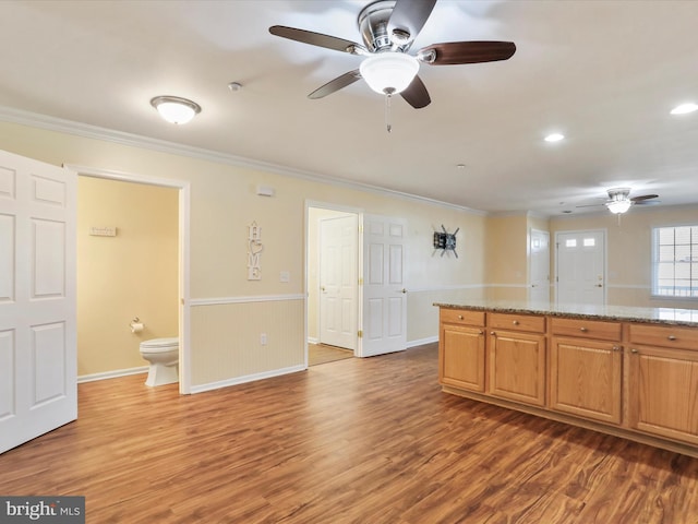 kitchen with light stone counters, ceiling fan, ornamental molding, and hardwood / wood-style floors