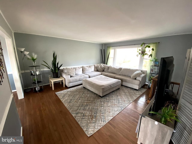 living room with dark wood-type flooring