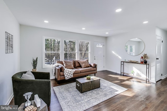 living room featuring dark hardwood / wood-style floors