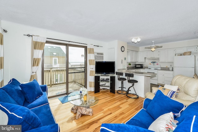 living room featuring ceiling fan, a textured ceiling, and light hardwood / wood-style flooring