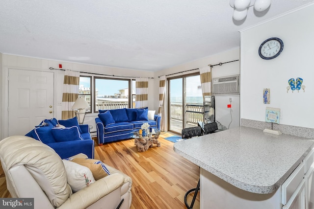 living room featuring a textured ceiling, a baseboard radiator, light hardwood / wood-style floors, and a wall mounted AC