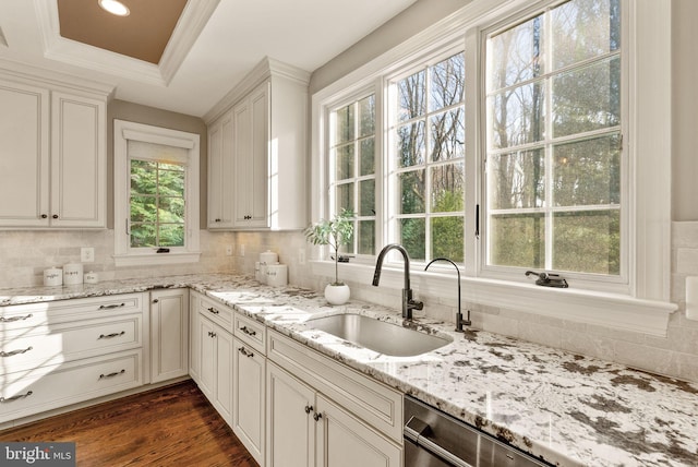 kitchen featuring sink, crown molding, dark hardwood / wood-style floors, a tray ceiling, and light stone countertops