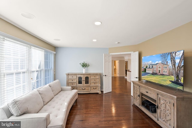 living room featuring dark wood-type flooring