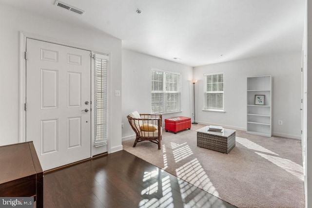 entrance foyer with hardwood / wood-style flooring