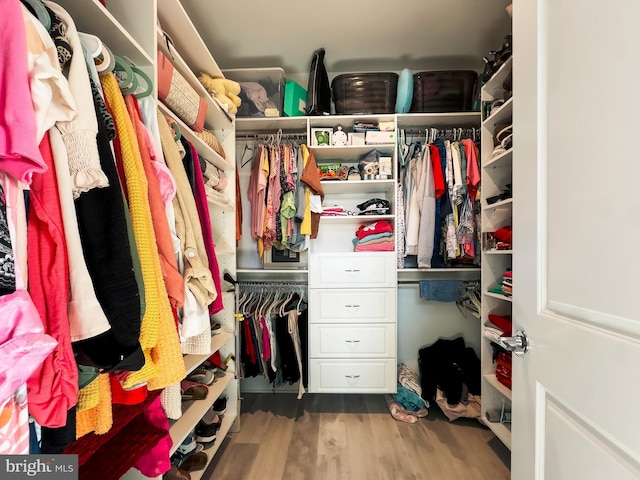 walk in closet with dark hardwood / wood-style floors