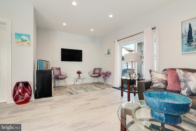 living room featuring light hardwood / wood-style floors