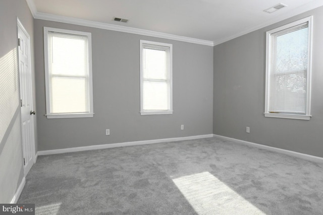 carpeted empty room featuring a healthy amount of sunlight and ornamental molding