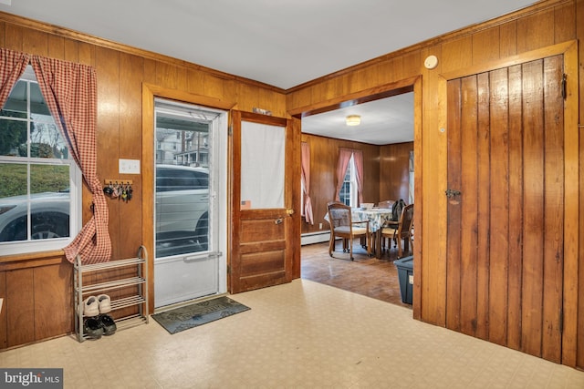 entrance foyer with a wealth of natural light and wooden walls