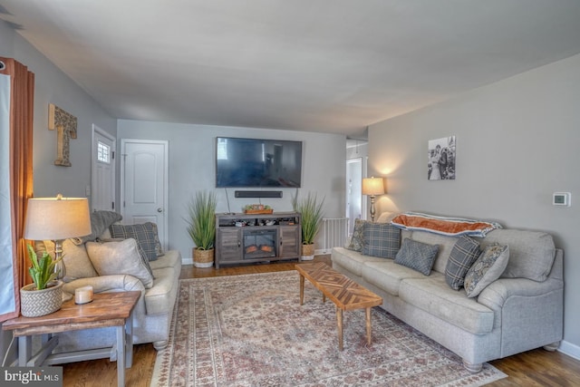 living room with hardwood / wood-style flooring and a fireplace