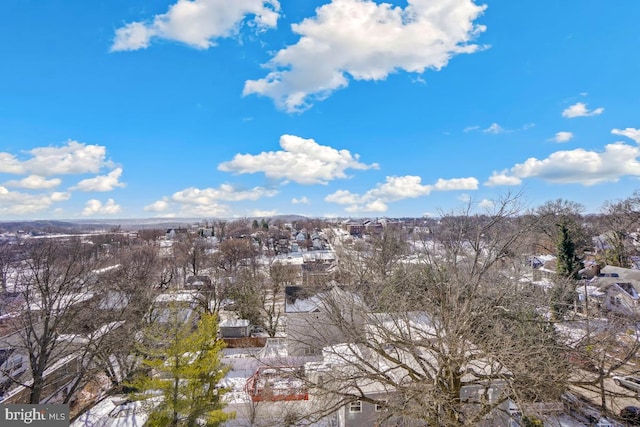 view of snowy view