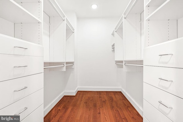 walk in closet with dark hardwood / wood-style flooring