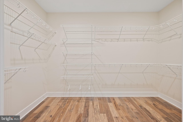 walk in closet with wood-type flooring