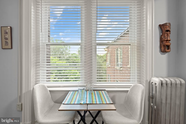 sitting room with radiator