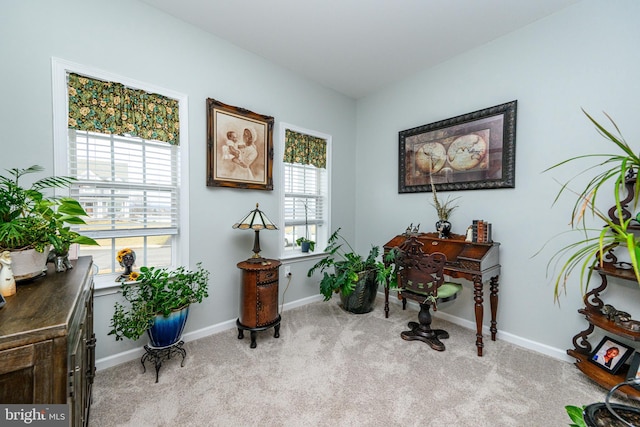 office area with light carpet