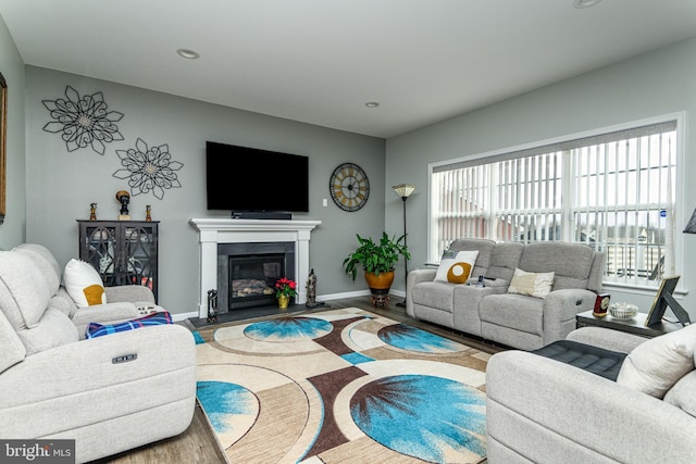 living room featuring wood-type flooring