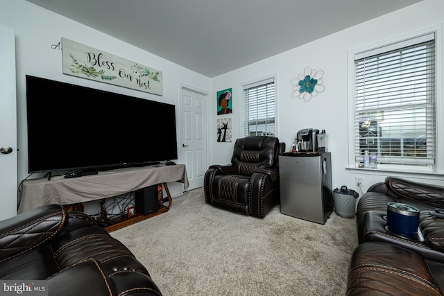 view of carpeted living room