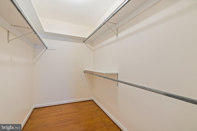 spacious closet with hardwood / wood-style floors