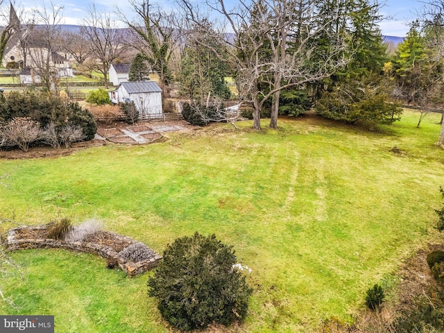 view of yard featuring a shed