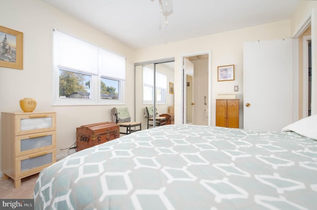 carpeted bedroom featuring a closet