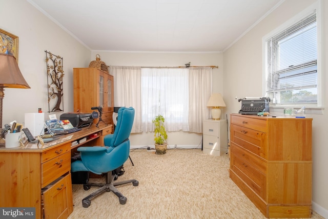 office featuring ornamental molding and light carpet