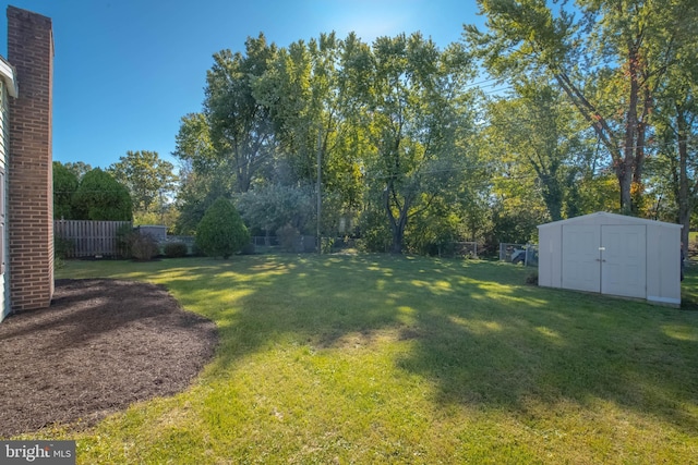 view of yard featuring a shed