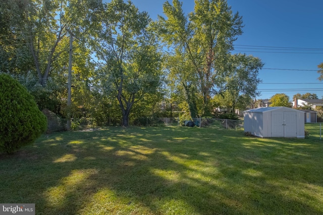 view of yard with a shed