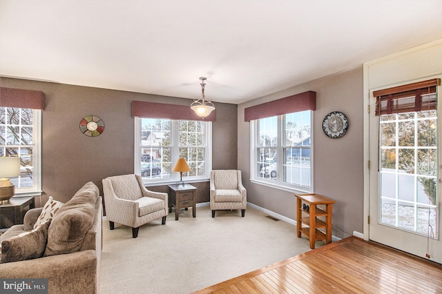 living area with hardwood / wood-style floors