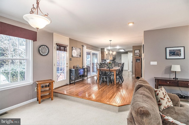 dining area featuring carpet floors