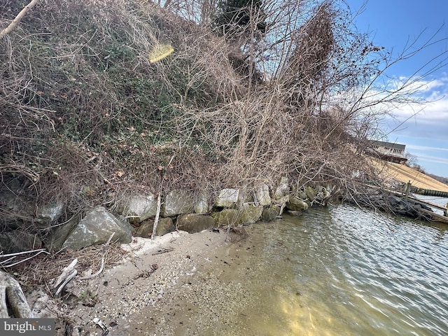 view of nature featuring a water view