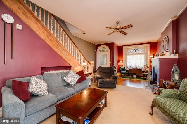 living room with a ceiling fan, carpet, crown molding, and stairway