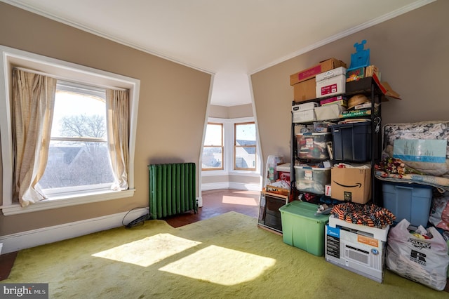 storage room with radiator