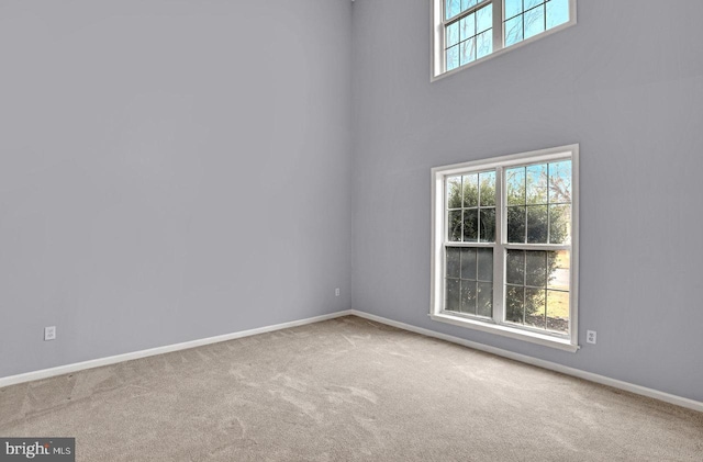 spare room with light colored carpet and a high ceiling