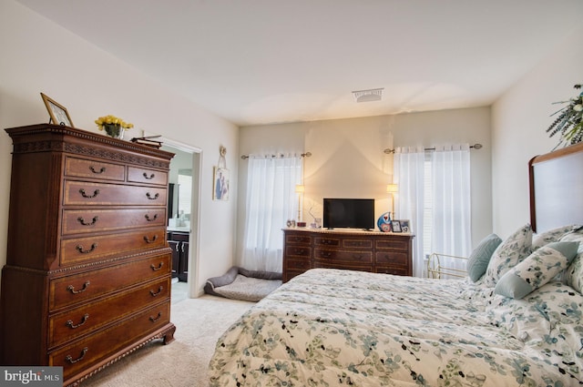 bedroom featuring multiple windows and light colored carpet