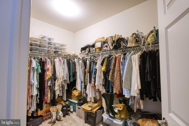 walk in closet with carpet floors