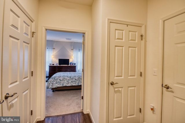 hallway featuring dark hardwood / wood-style flooring