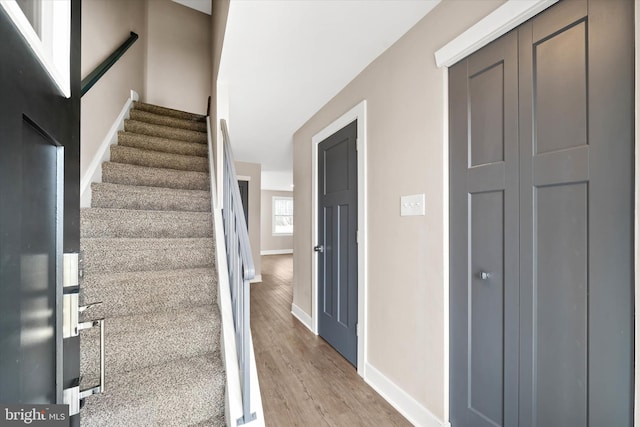 stairway featuring wood-type flooring