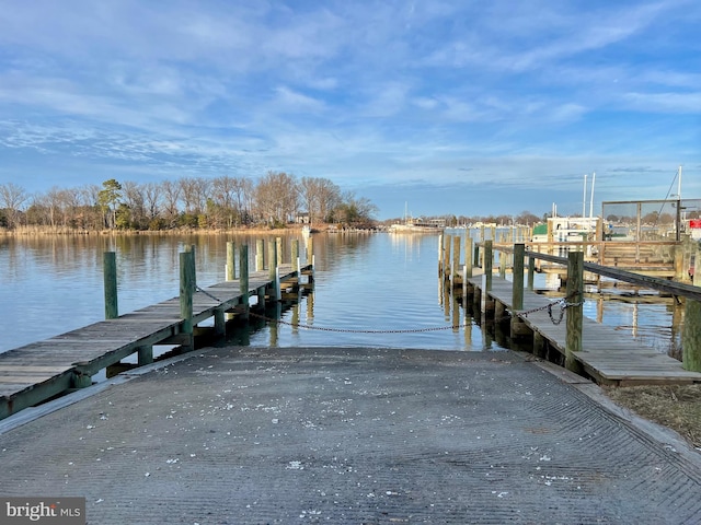 dock area with a water view