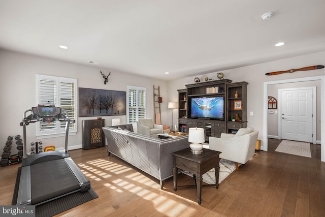 living room with wood-type flooring