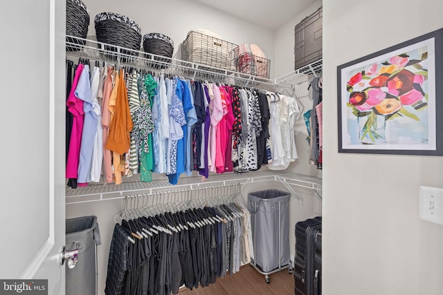 spacious closet featuring hardwood / wood-style flooring