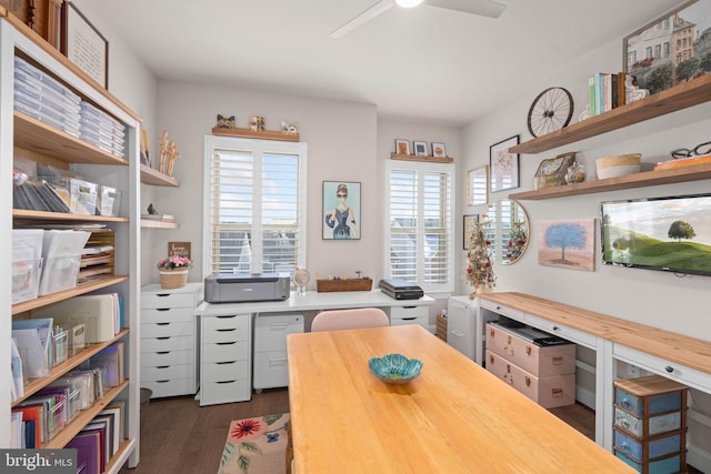 office area featuring dark hardwood / wood-style floors and ceiling fan