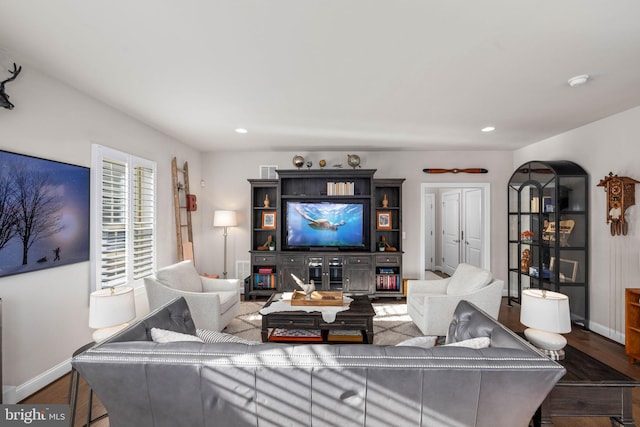 living room featuring wood-type flooring