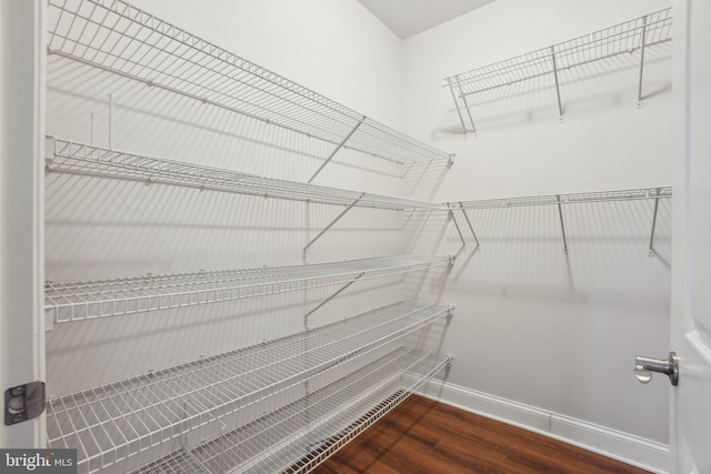 spacious closet featuring dark wood-type flooring