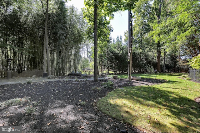 view of yard featuring fence